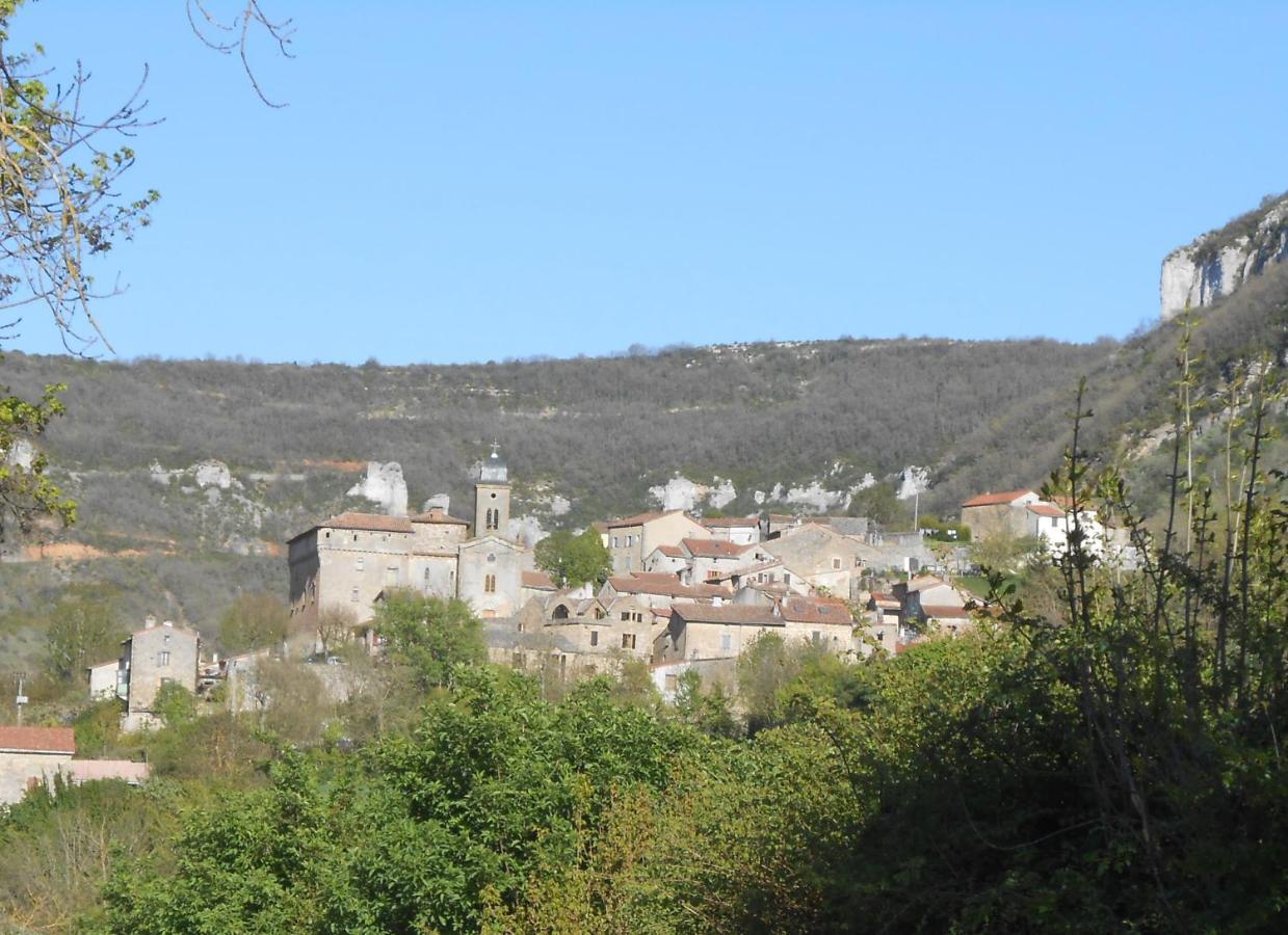 Maison de village spacieuse et agréable Saint-Georges-de-Luzençon Extérieur photo